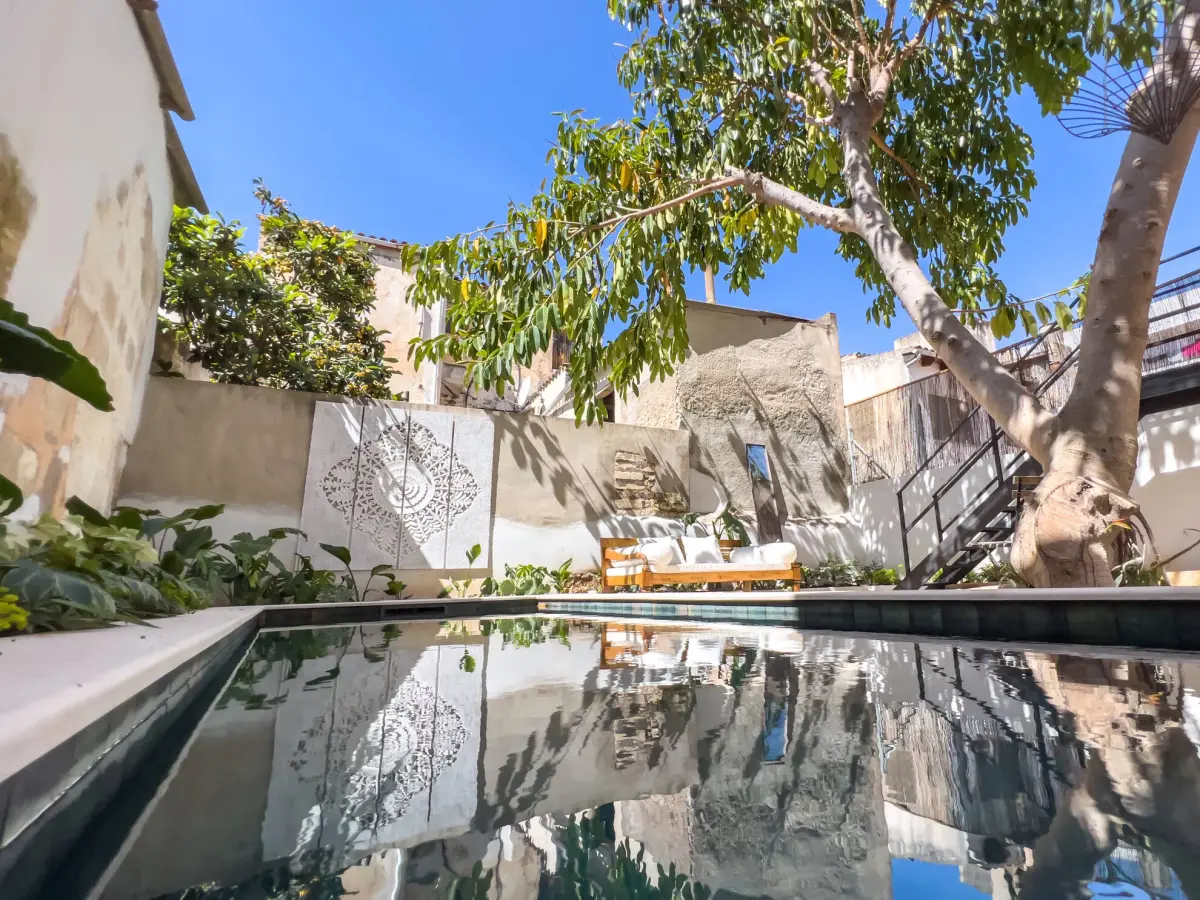 The courtyard pool of Casa Timbale reflecting the fig tree and the white walls, an outdoor sofa in the shade